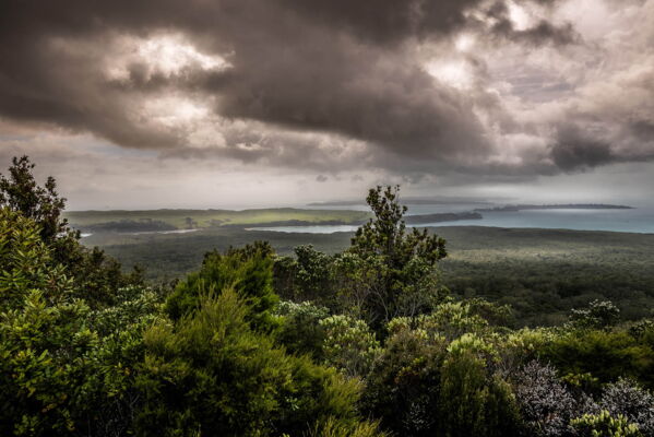 Rangitoto Island, New Zealand