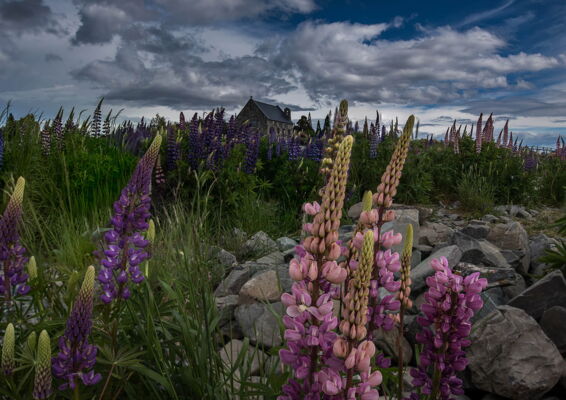 Stone Church, Lake Tekapo, New Zealand