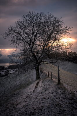 'november moring mood', first snow, gwatt (thun), switzerland