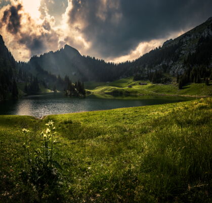 'alps', bernaise alps, switzerland