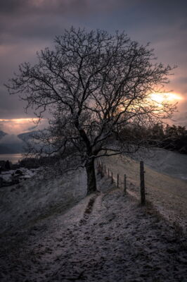 'november moring mood', first snow, gwatt (thun), switzerland
