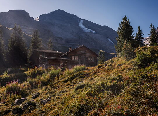 Morning Light, Sunbuehl, Switzerland