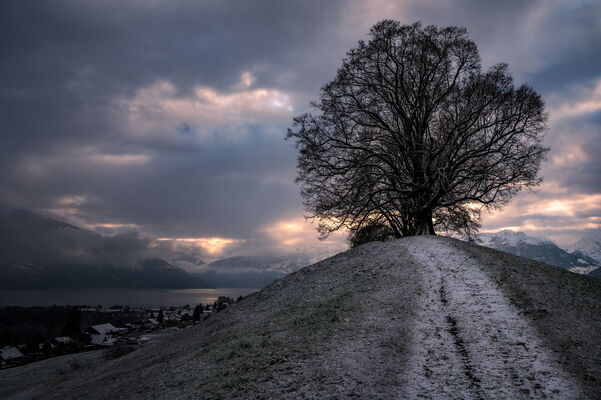 'november moring mood', first snow, gwatt (thun), switzerland